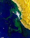 NASA_Puerto_Vallarta_algae_BloomSM